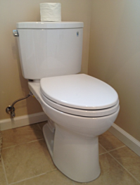 Newly fixed toilet